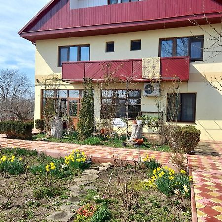 Pensiunea Anda Tulcea Extérieur photo