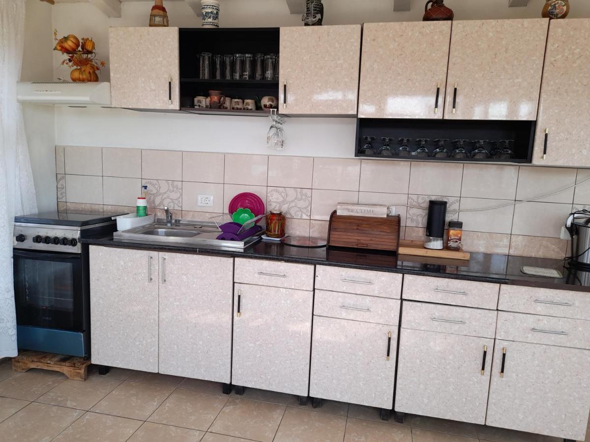 Pensiunea Anda Tulcea Extérieur photo