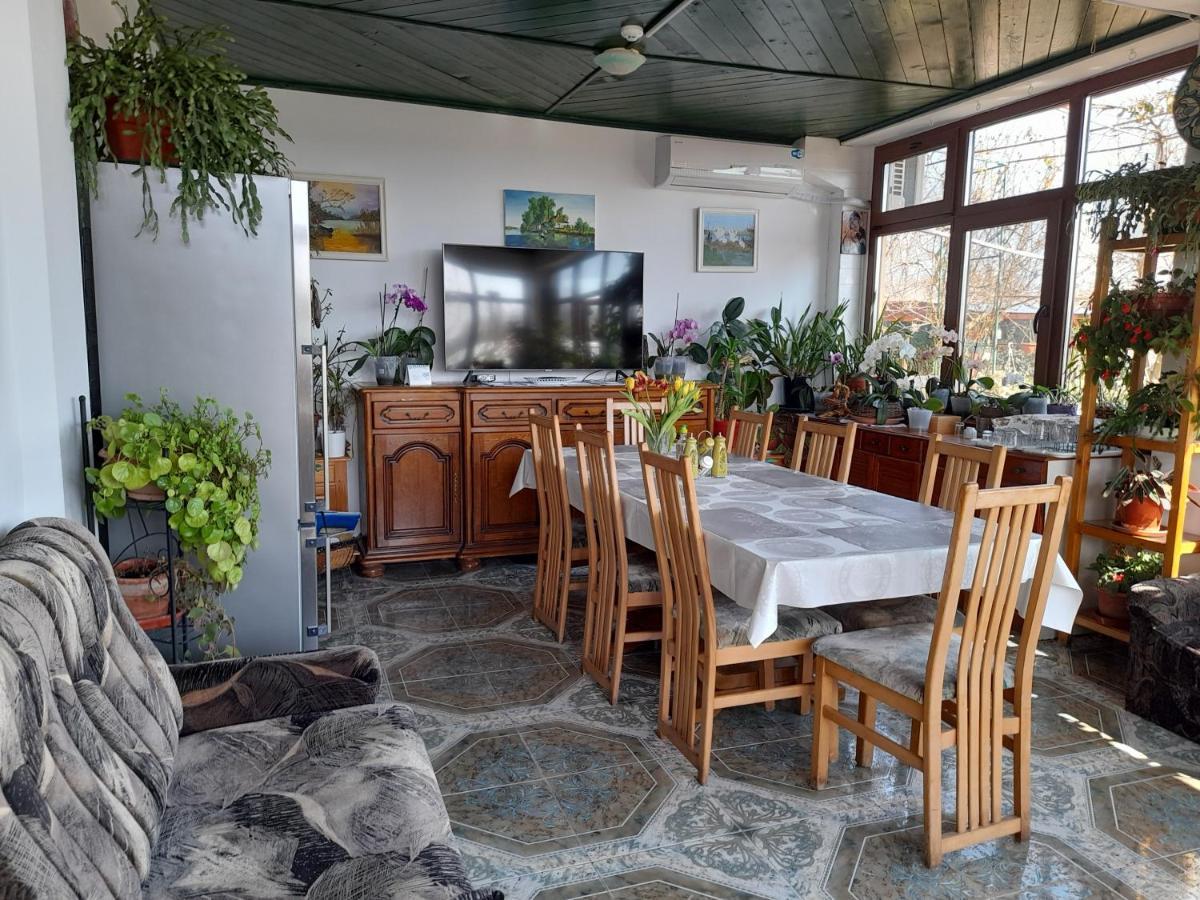 Pensiunea Anda Tulcea Extérieur photo