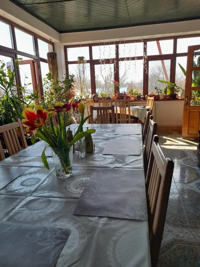 Pensiunea Anda Tulcea Extérieur photo