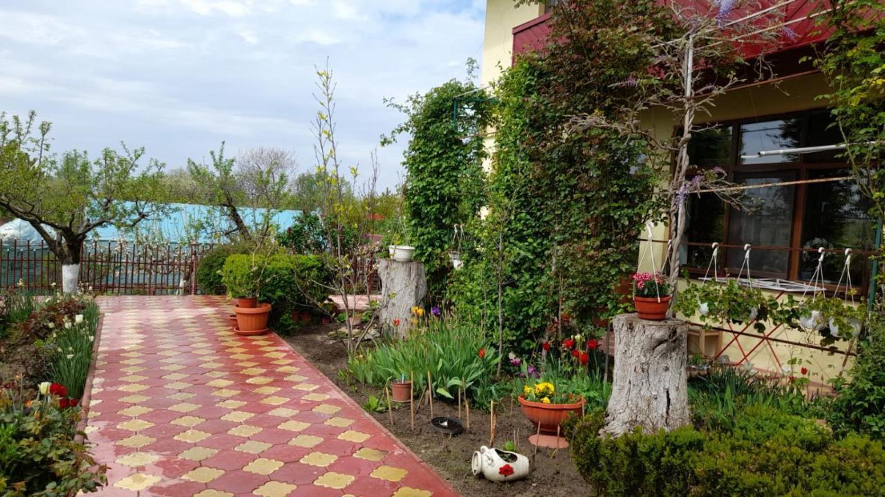 Pensiunea Anda Tulcea Extérieur photo