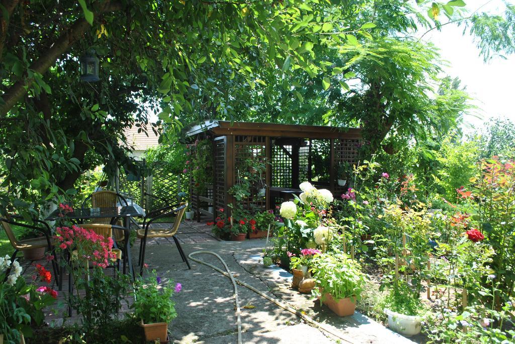 Pensiunea Anda Tulcea Extérieur photo