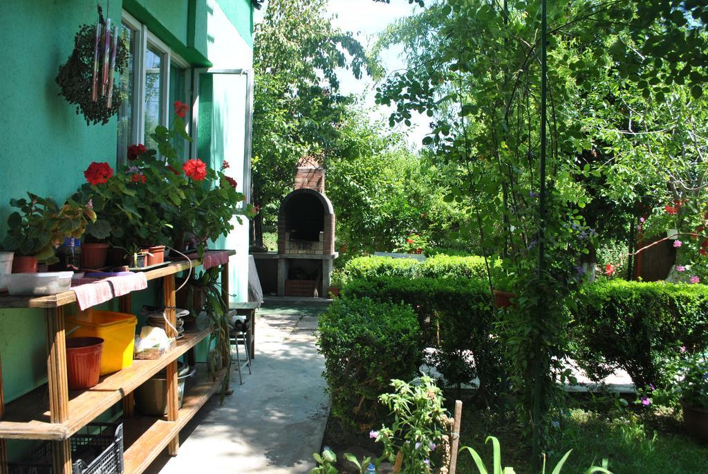 Pensiunea Anda Tulcea Extérieur photo
