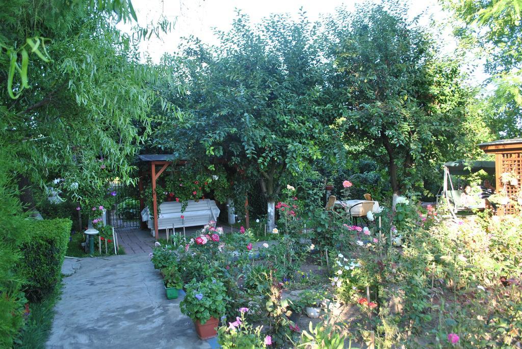Pensiunea Anda Tulcea Extérieur photo