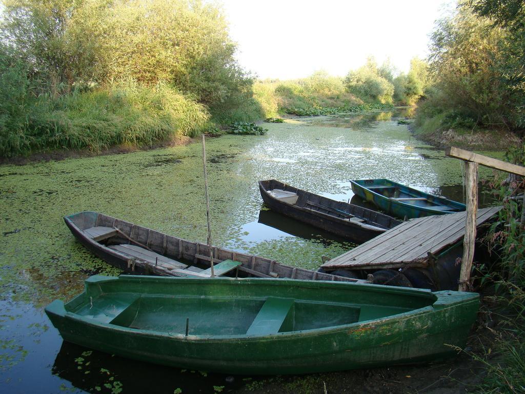 Pensiunea Anda Tulcea Extérieur photo